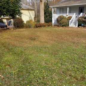 Leaf Removal by JWALL Lawn Care, LLC reviewed on June 17, 2022