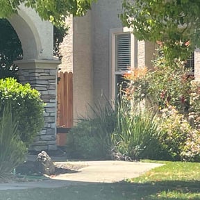 Bush Trimming by DMB grounds LLC reviewed on April 22, 2021