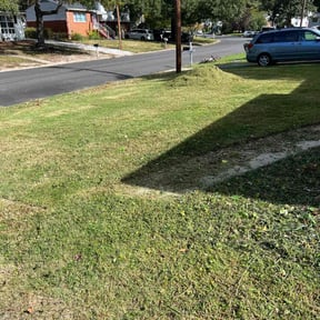 Bush Trimming by RHJ LANDSCAPING LLC reviewed on March 26, 2025