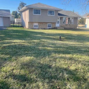 Leaf Removal by Fortanel lanscaping reviewed on July 30, 2022