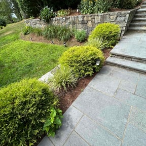 Bush Trimming by Schuetz Landscaping Services reviewed on July 19, 2022