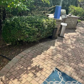 Bush Trimming by E and A landscape and design reviewed on August 5, 2024