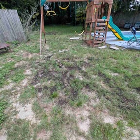 Lawn Seeding by Pink Pearl Landscaping reviewed on July 31, 2025
