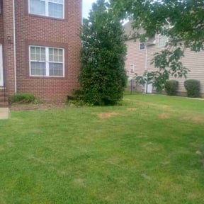 Bush Trimming by Active Lawn Care & Landscapes reviewed on March 18, 2025