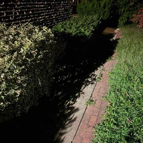 Bush Trimming by Early Bird Lawn Care LLC reviewed on October 11, 2022