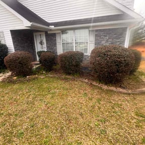 Bush Trimming by Jay Jay & W Landscaping, LLC reviewed on July 20, 2022