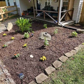 Landscaping by JoJo property services LLC reviewed on June 25, 2022