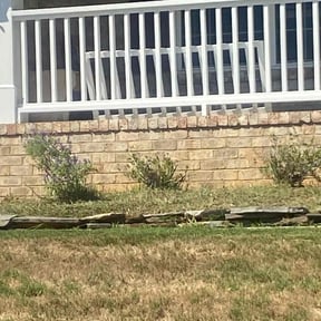 Flower Bed Weeding by Nice Lawns on Wheels reviewed on July 30, 2022