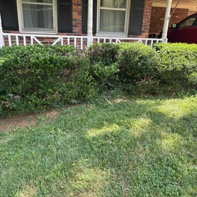 Bush Trimming by Coates Cutz Complete Lawn Care reviewed on November 4, 2022