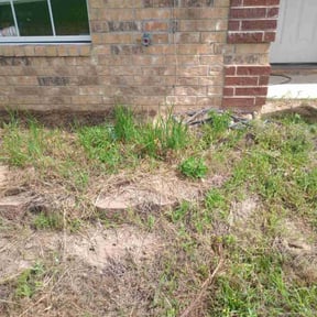 Bush Trimming by Sami lawn service,,, reviewed on June 15, 2022