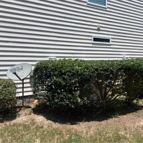 Bush Trimming by Green turf landscape llc reviewed on August 9, 2022