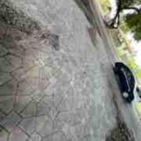 Leaf Removal by Greenview Lawn Solutions llc reviewed on June 24, 2025