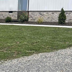 Flower Bed Weeding by CM Lawn Care LLC reviewed on December 21, 2024