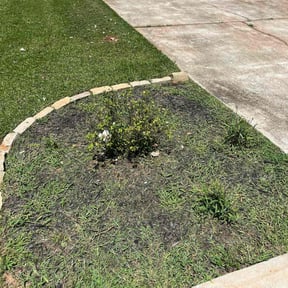 Flower Bed Weeding by Townsend boyz services reviewed on August 29, 2024