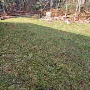 Leaf Removal by Lawn Busters LLC reviewed on July 10, 2022