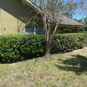Leaf Removal by Carrolls landscaping and snow removal reviewed on June 7, 2022