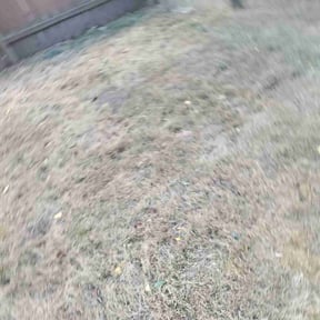 Cleanups by Terrence Wilburn ( TW Enterprise) reviewed on July 3, 2022