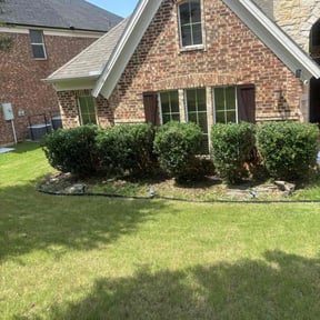 Bush Trimming by Lighting lawns services reviewed on June 10, 2022