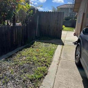Leaf Removal by Troys lawn & maintenance reviewed on December 31, 2020