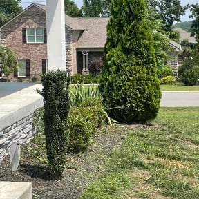 Bush Trimming by Kevreks Lawncare Service’s reviewed on April 16, 2022