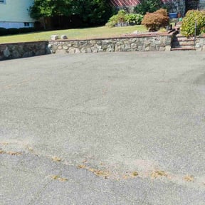 Cleanups by Mowpro1 reviewed on April 1, 2022