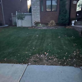 Bush Trimming by Integrity Lawn Care reviewed on May 15, 2022