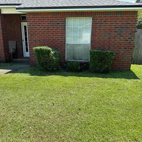 Bush Trimming by Texas Services SA reviewed on October 18, 2021