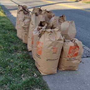 Leaf Removal by Prizel Lawn Service reviewed on July 29, 2022