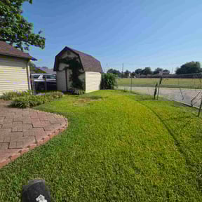 Cleanups by Landscaping reviewed on January 25, 2025