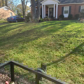Leaf Removal by Heiny Lawn reviewed on May 24, 2022