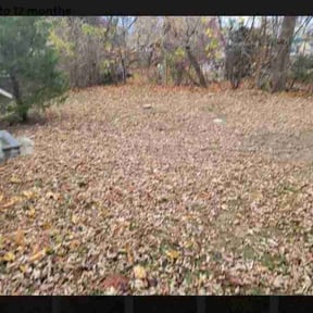 Leaf Removal by MT Lawn Care reviewed on July 21, 2022