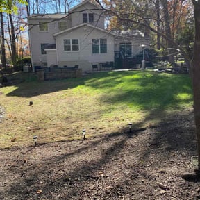 Leaf Removal by St Charles Services reviewed on June 15, 2022