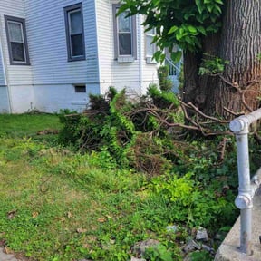 Bush Trimming by Westfield Lawn and Mulch reviewed on April 22, 2022