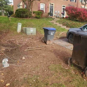 Leaf Removal by Emerald Green Property Management LLC reviewed on May 11, 2022