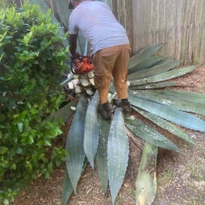 Landscaping by Primos  Grow&amp;Mow reviewed on April 19, 2025