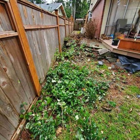 Bush Trimming by Self Made Rich reviewed on August 6, 2024