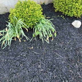 Mulching by Patton Lawn Care reviewed on May 24, 2022