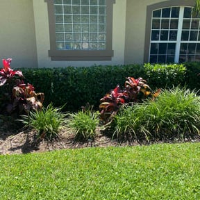 Bush Trimming by real lawn service reviewed on June 28, 2022