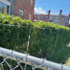 Bush Trimming by Luxurious Landscapes reviewed on June 9, 2022