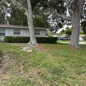 Bush Trimming by Affordable lawn care reviewed on June 2, 2022