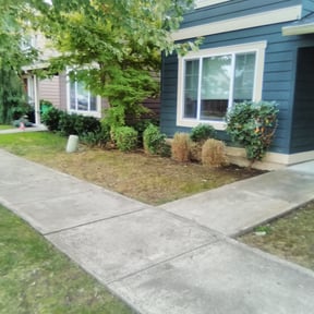 Bush Trimming by Ochoa Landscape and Irrigaton LLC reviewed on August 22, 2020