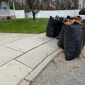 Leaf Removal by Keith Dalke reviewed on January 5, 2022