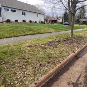 Leaf Removal by J&A innovating reviewed on August 2, 2022