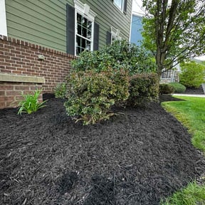 Flower Bed Weeding by Bellas custom landscaping reviewed on April 21, 2025