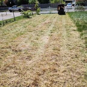 Bush Trimming by Black Creek Landscaping Service reviewed on June 13, 2022