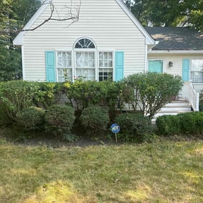 Bush Trimming by GreenThumb Landscaping reviewed on July 9, 2022