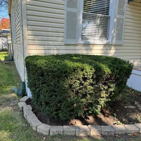 Bush Trimming by Perry’s Landscaping LLC reviewed on April 20, 2022