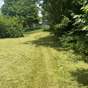 Leaf Removal by Steve’s mowing company reviewed on August 26, 2024