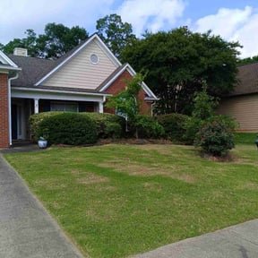 Bush Trimming by Heiser Lawn and Residential Excavating reviewed on May 27, 2022
