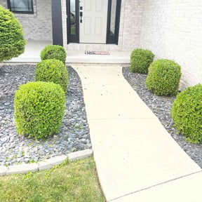 Bush Trimming by Steve's Lawn Care&More reviewed on June 30, 2025